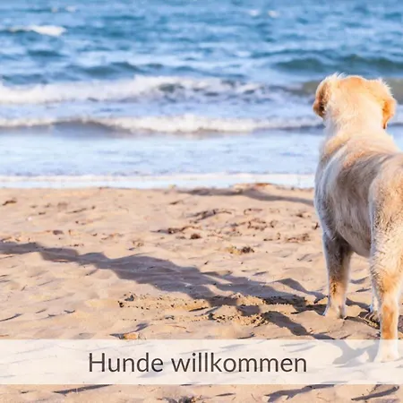 Haus Meerzeit, Duene, 250 M Vom Strand, Hunde Willkommen *